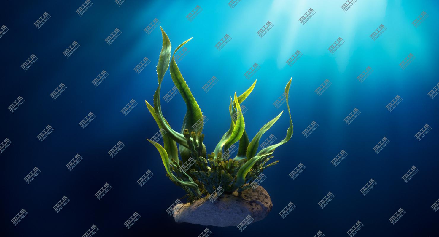images/goods_img/20210313/Seaweed Animated/3.jpg